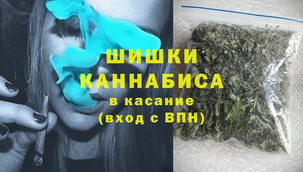 стаф Белокуриха