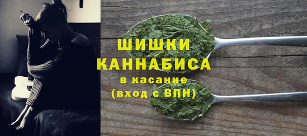 стаф Белокуриха