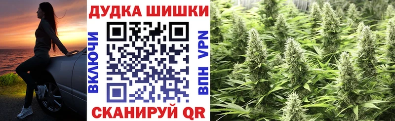 Канабис SATIVA & INDICA  Высоцк 